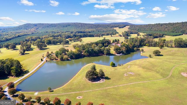 5225 Chalybeate Springs Road, Woodland, GA 31836