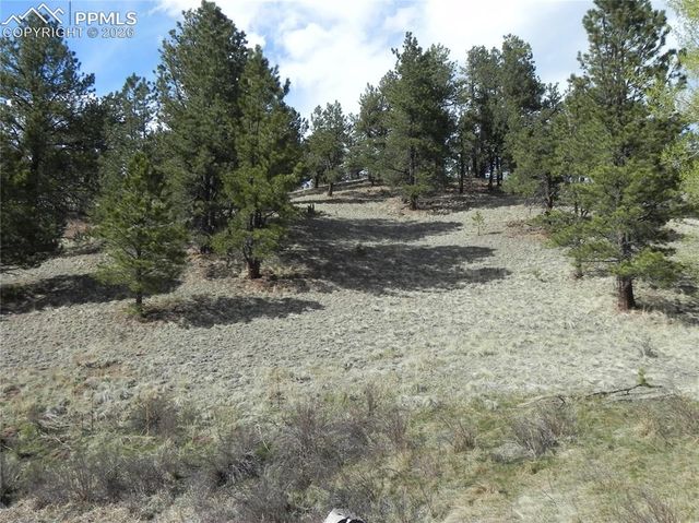 1699 Monarch Drive, Cripple Creek, CO 80813