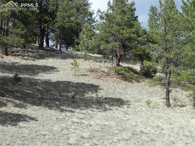 1699 Monarch Drive, Cripple Creek, CO 80813