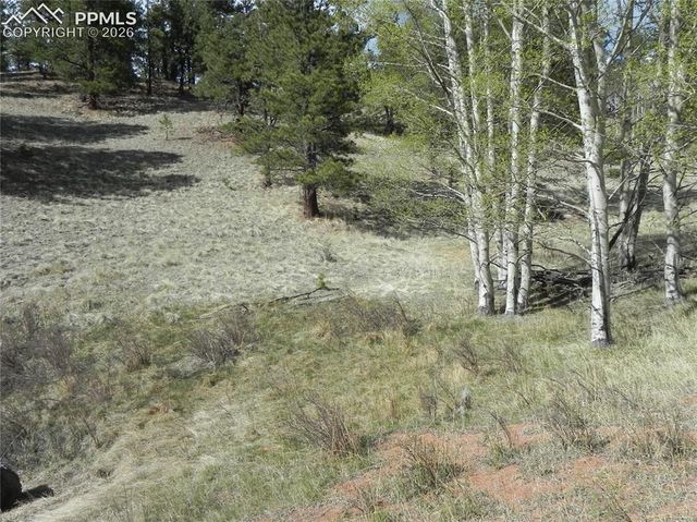 1699 Monarch Drive, Cripple Creek, CO 80813