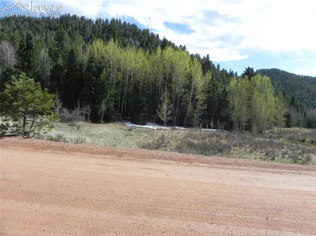 1699 Monarch Drive, Cripple Creek, CO 80813