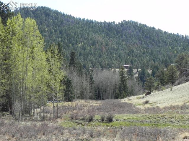 1699 Monarch Drive, Cripple Creek, CO 80813