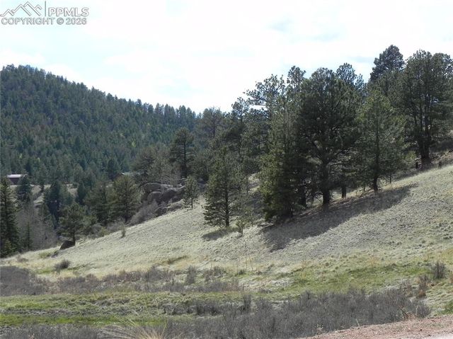 1699 Monarch Drive, Cripple Creek, CO 80813