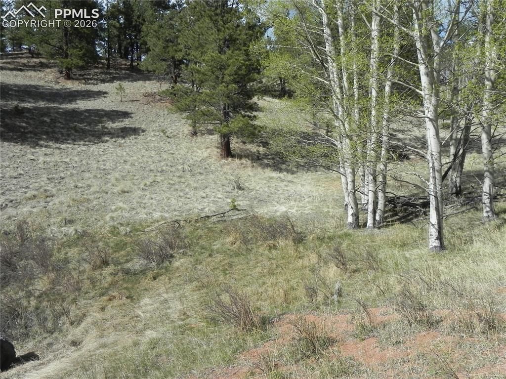 1699 Monarch Drive, Cripple Creek, CO 80813 — photo 4