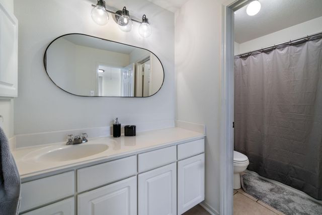 16823 Blackberry Lily Lane, Conroe, TX 77385