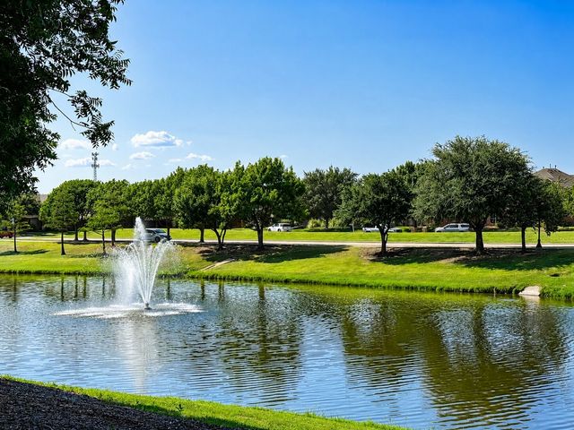 1157 Ducks Landing, Frisco, TX 75033