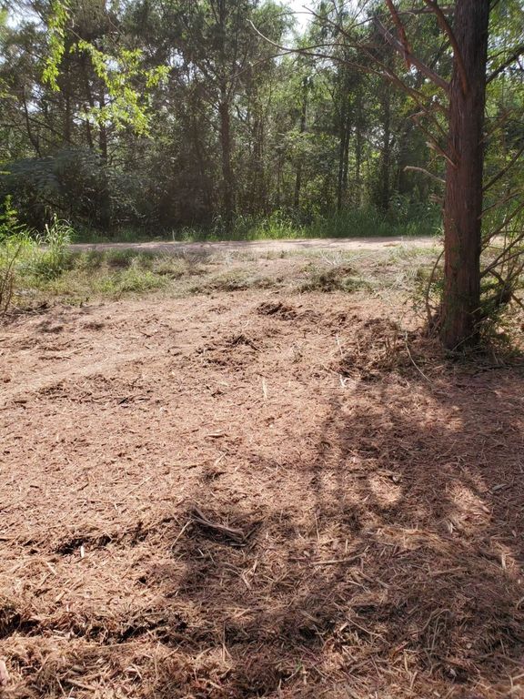 TBD Shoshone Drive, Gordonville, TX 76245