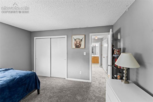 4323 Hawks Lookout Lane, Colorado Springs, CO 80916