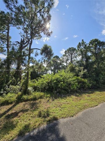 233 MALDEN AVE S, Lehigh Acres, FL 33974