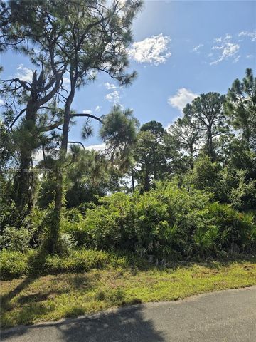 233 MALDEN AVE S, Lehigh Acres, FL 33974