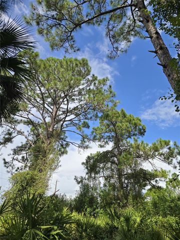 233 MALDEN AVE S, Lehigh Acres, FL 33974