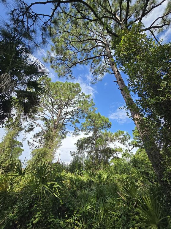 233 MALDEN AVE S, Lehigh Acres, FL 33974