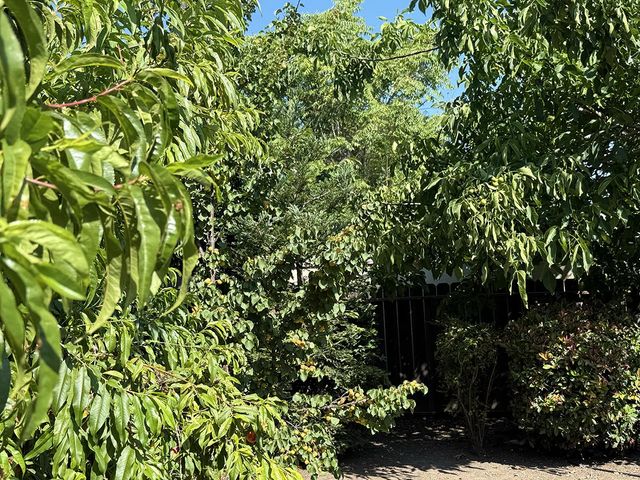 310 Oak Avenue, Redwood City, CA 94061