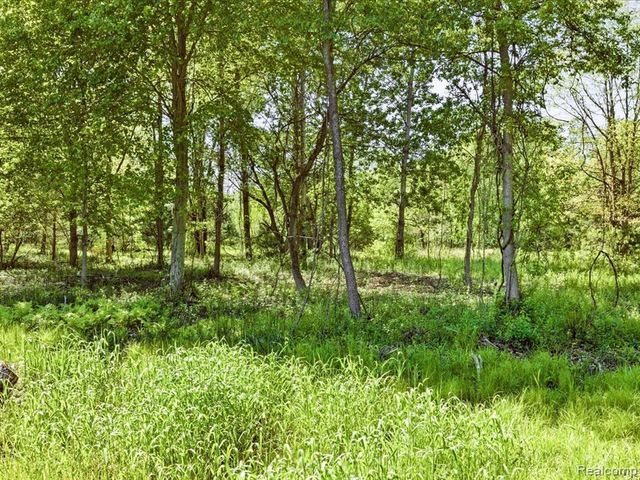 2941 Beach Road, Port Huron, MI 48060