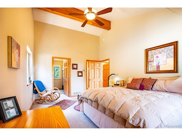 692 Bobcat, Fairplay, CO 80420