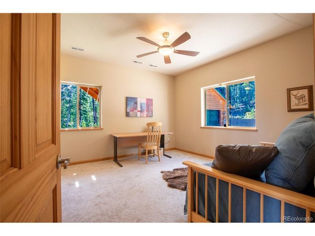 692 Bobcat, Fairplay, CO 80420