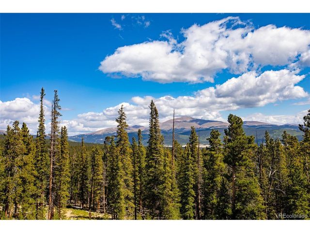 692 Bobcat, Fairplay, CO 80420