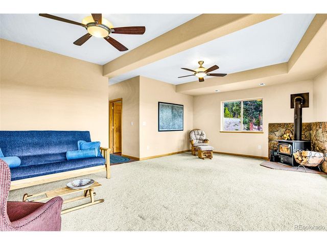 692 Bobcat, Fairplay, CO 80420