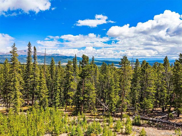 692 Bobcat, Fairplay, CO 80420