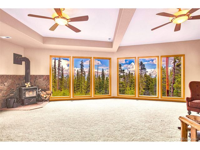 692 Bobcat, Fairplay, CO 80420