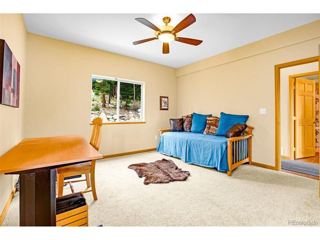 692 Bobcat, Fairplay, CO 80420