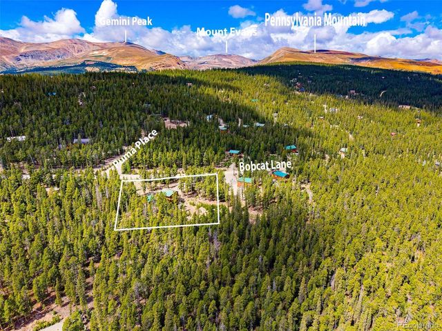 692 Bobcat, Fairplay, CO 80420