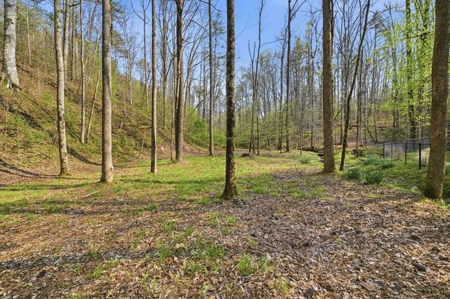 434 Lemmon Drive, Ellijay, GA 30540