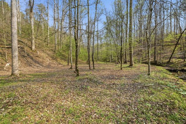 434 Lemmon Drive, Ellijay, GA 30540