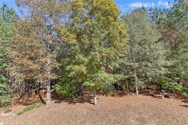 339 Oatgrass Drive, Grayson, GA 30017