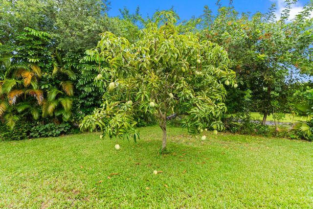 22829 Horse Shoe Way, Boca Raton, FL 33428