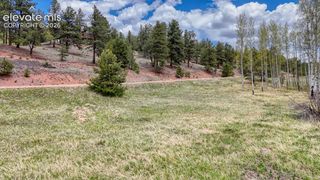 42 Rabbit Circle, Florissant, CO 80816