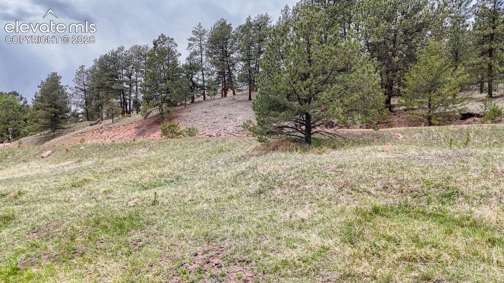 42 Rabbit Circle, Florissant, CO 80816 — photo 2