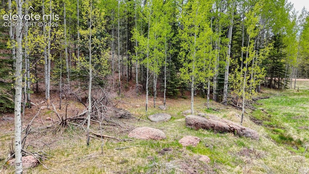 42 Rabbit Circle, Florissant, CO 80816 — photo 4