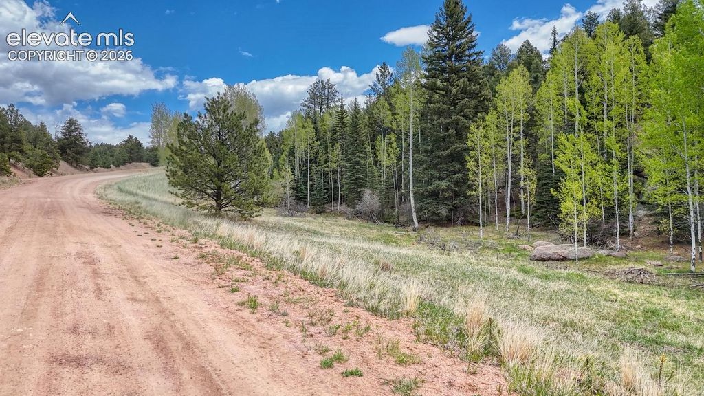 42 Rabbit Circle, Florissant, CO 80816 — photo 5