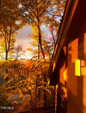 690 Buttermilk Road, Blountville, TN 37617