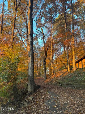 690 Buttermilk Road, Blountville, TN 37617