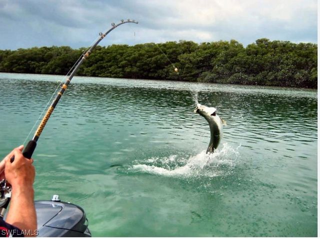 5858 Star Grass LN, Naples, FL 34116