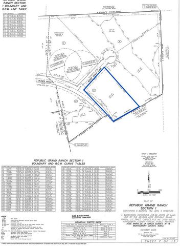10711 Ruger Road, Willis, TX 77378