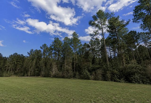 10711 Ruger Road, Willis, TX 77378