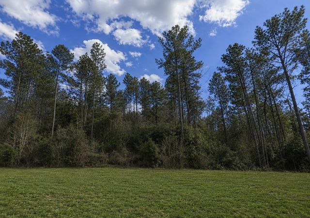 10711 Ruger Road, Willis, TX 77378
