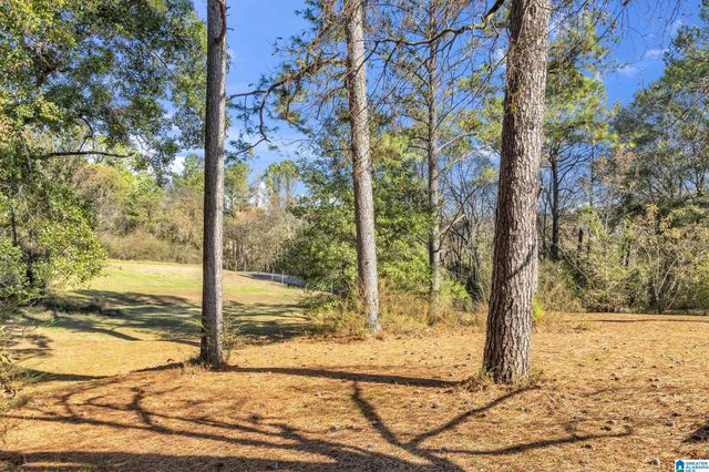 1631 CUNNINGHAM DRIVE, Helena, AL 35080