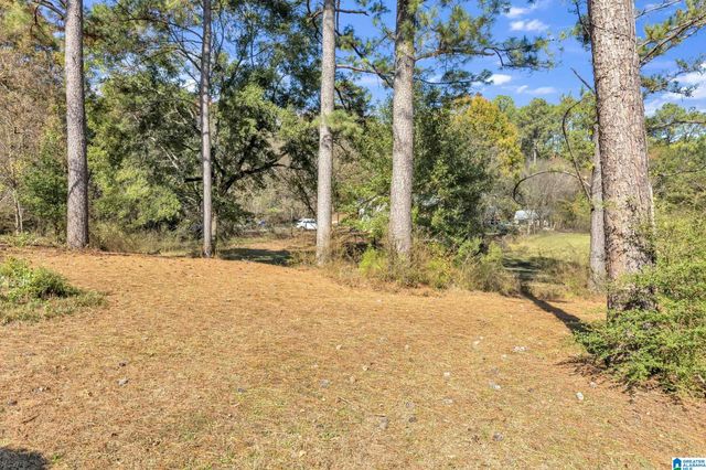 1631 CUNNINGHAM DRIVE, Helena, AL 35080