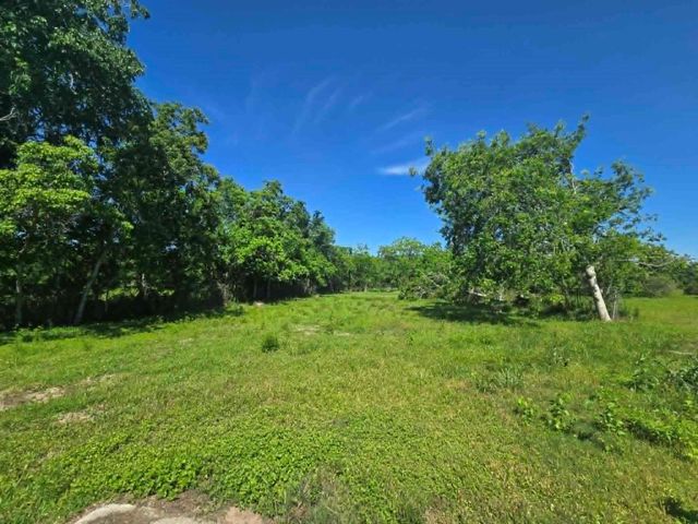 1115 Delany Road, La Marque, TX 77568