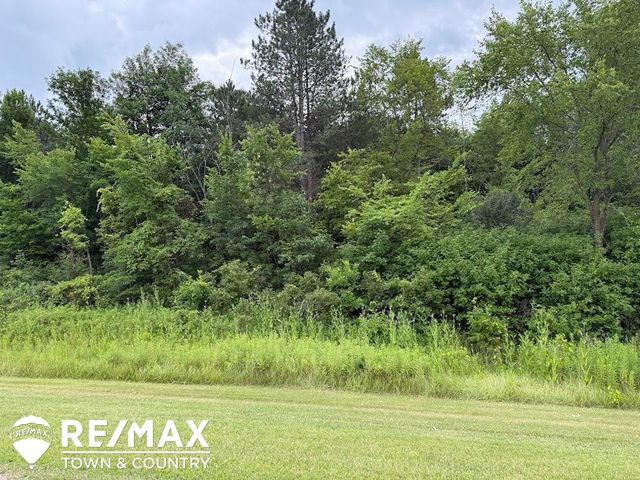 0 E Vienna Road, Clio, MI 48420