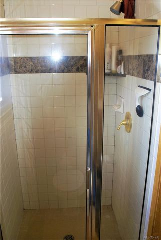 31371 Shadow Mountain Drive, Conifer, CO 80433