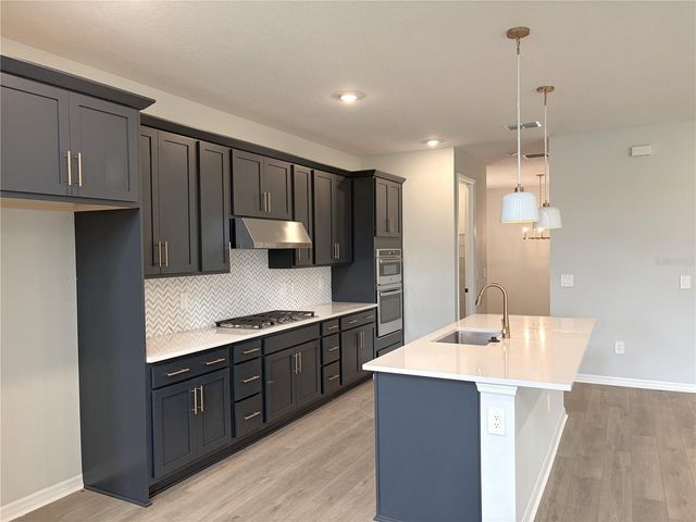10139 HIDDEN HAMMOCK LOOP, Parrish, FL 34219