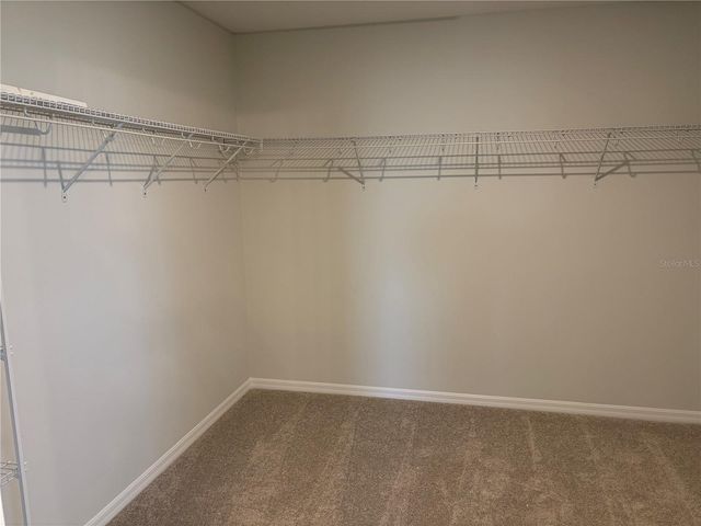 10139 HIDDEN HAMMOCK LOOP, Parrish, FL 34219