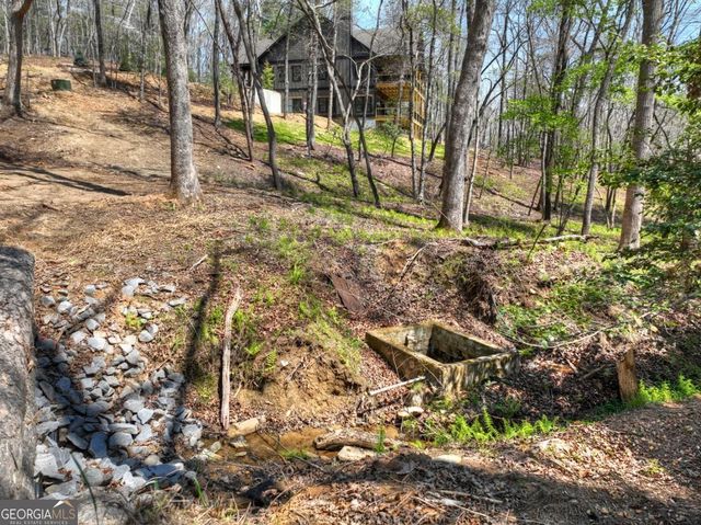 158 Spring Run Drive, Blue Ridge, GA 30513