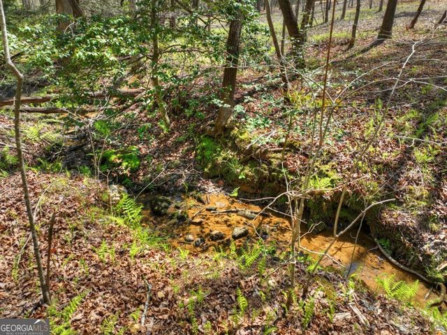 158 Spring Run Drive, Blue Ridge, GA 30513