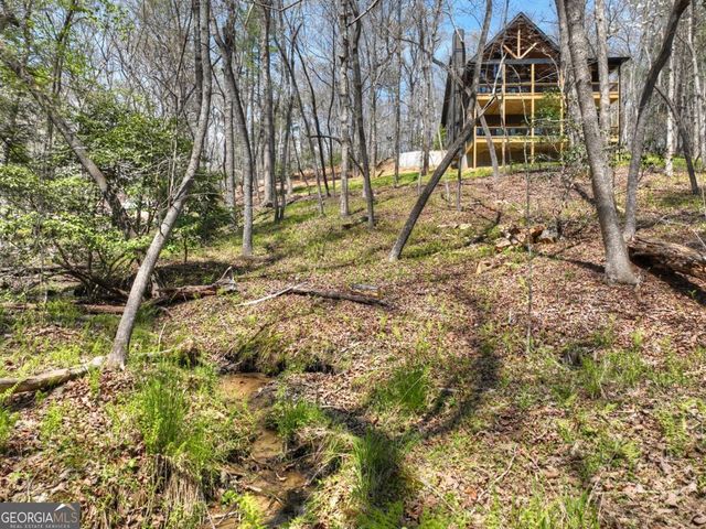 158 Spring Run Drive, Blue Ridge, GA 30513